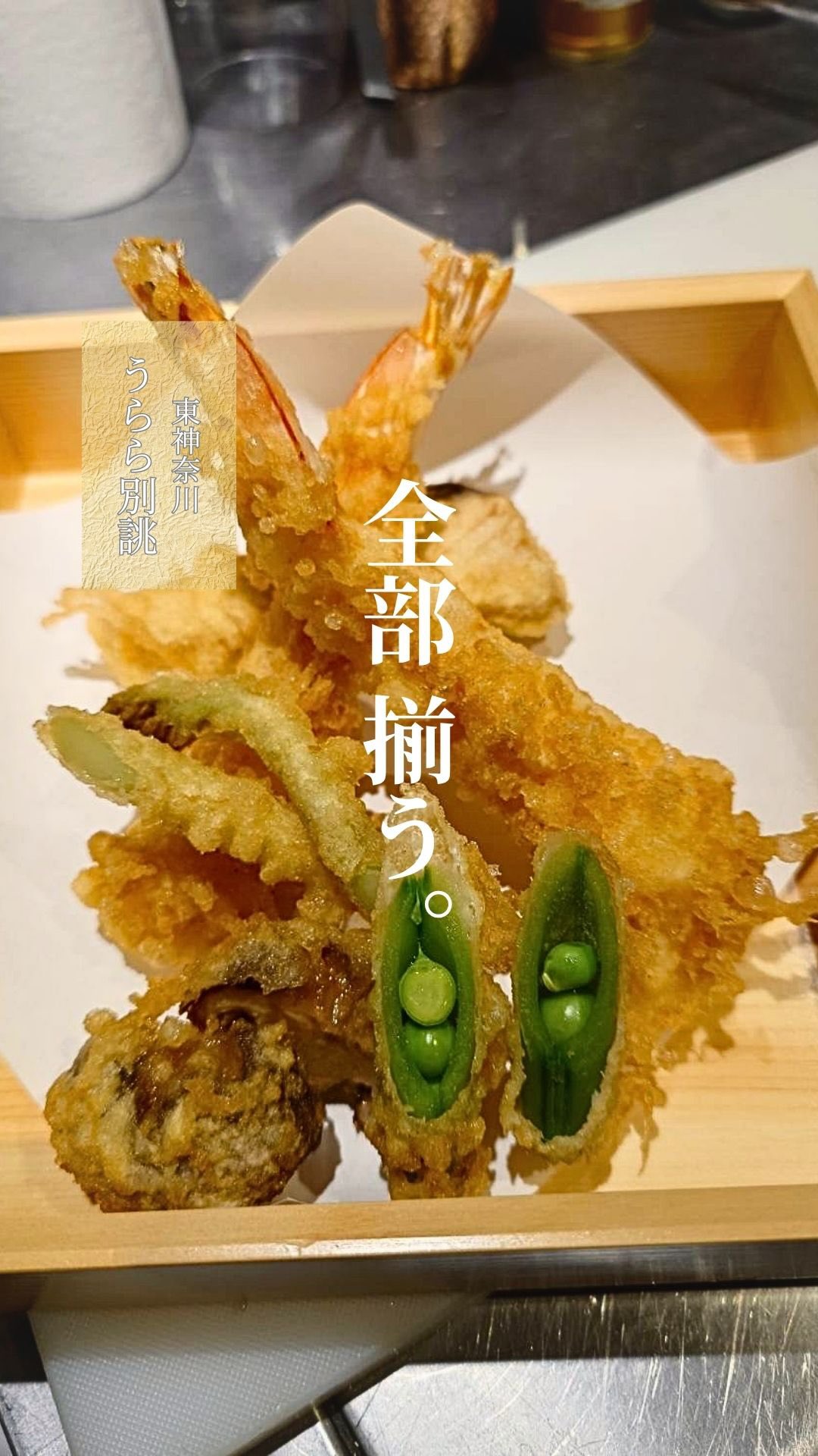 炊く、焼く、揚げる、煮る。
全部ちゃんと美味しい。

そこに、呑む楽しみも。

ふらっとでも、しっかりでも。
「うらら別誂」で。

#うらら別誂 #東神奈川グルメ #横浜グルメ #和食グルメ #日本料理店