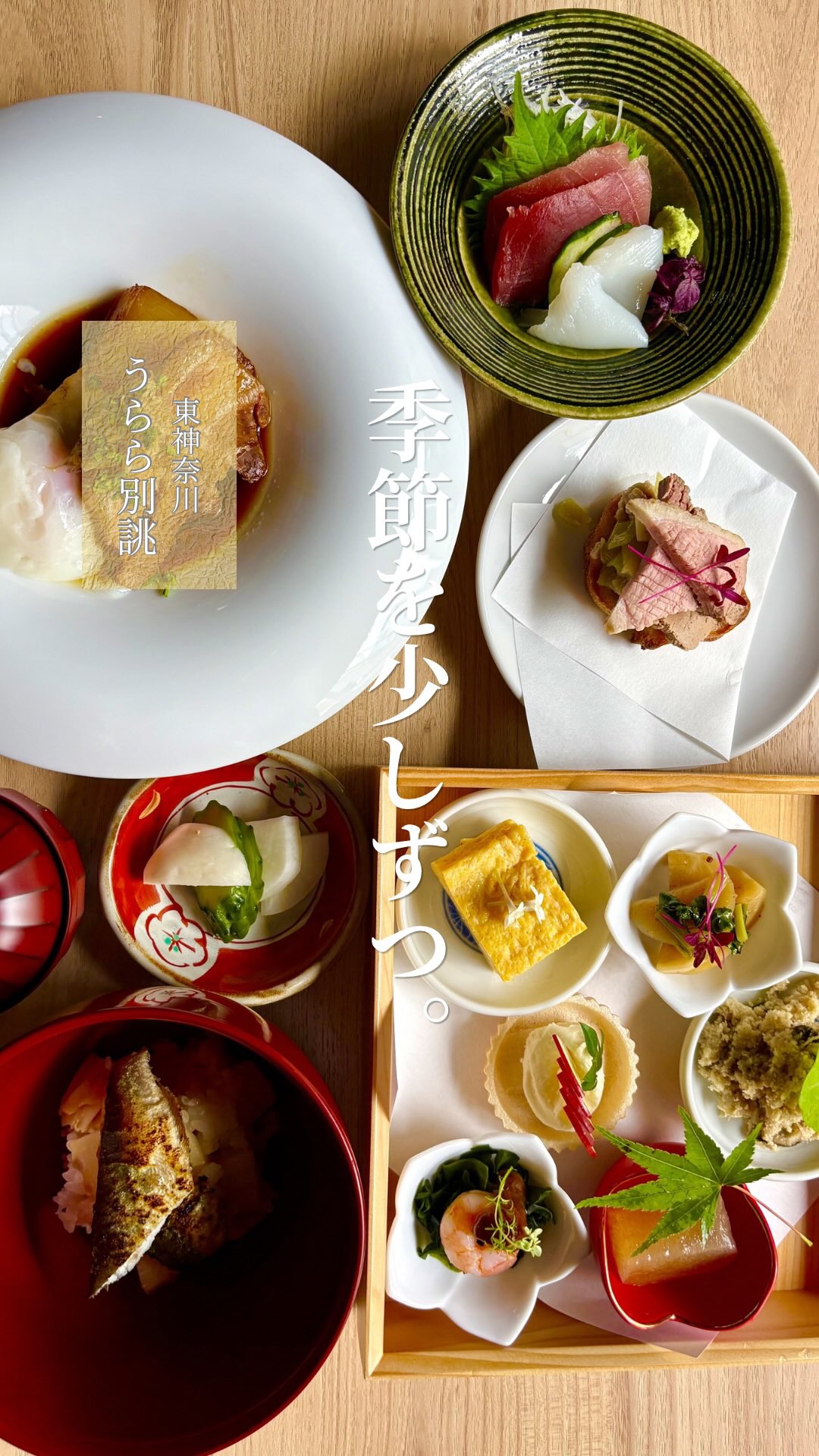 『和食のコースは高そう…』

そんなイメージを変えたくて。

季節の前菜、お刺身、焼き物、煮物まで楽しめる

【いろどりコース 4,000円】

を始めました！

少しずつ色々食べたい。
旬の味覚を楽しみたい。

そんな日にぴったりのコースです。

うらら別誂を初めてご利用いただく方にもおすすめです。

#うらら別誂 #東神奈川グルメ #横浜グルメ #和食 #日本料