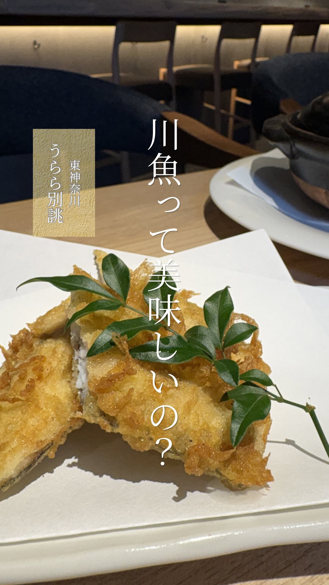 川魚料理って、
正直、もっとクセがあると思っていました。

でも一口食べてびっくり、

鮎は香ばしく、真っ白な身がふっくら。
鯉は驚くほど上品。
どじょうもどじょうであることを忘れる風味と歯応え😊

最後の鮎ごはんまで、
お箸が止まりませんでした！

「川魚ってこんなに美味しかったっけ？」

そんな声が聞こえてきそうな、
一日限定の特別コースをご用意しました。

【清涼 夏の川魚の逸品コース】

・鯉こく
・鯉の洗い
・鮎の塩焼き
・どじょう鍋
・鮎の天ぷら
・鮎ごはん
・澄まし汁

普段なかなか味わえない、
日本の川魚文化を楽しむひととき。

📅 6月27日（土）限定
💰 5,000円（税別）
🍶 お飲み物別

席数に限りがございますので、
ご予約はお早めに。

皆さまのお越しをお待ちしております。

#うらら別誂
#東神奈川グルメ
#和食
#鮎
#川魚料理