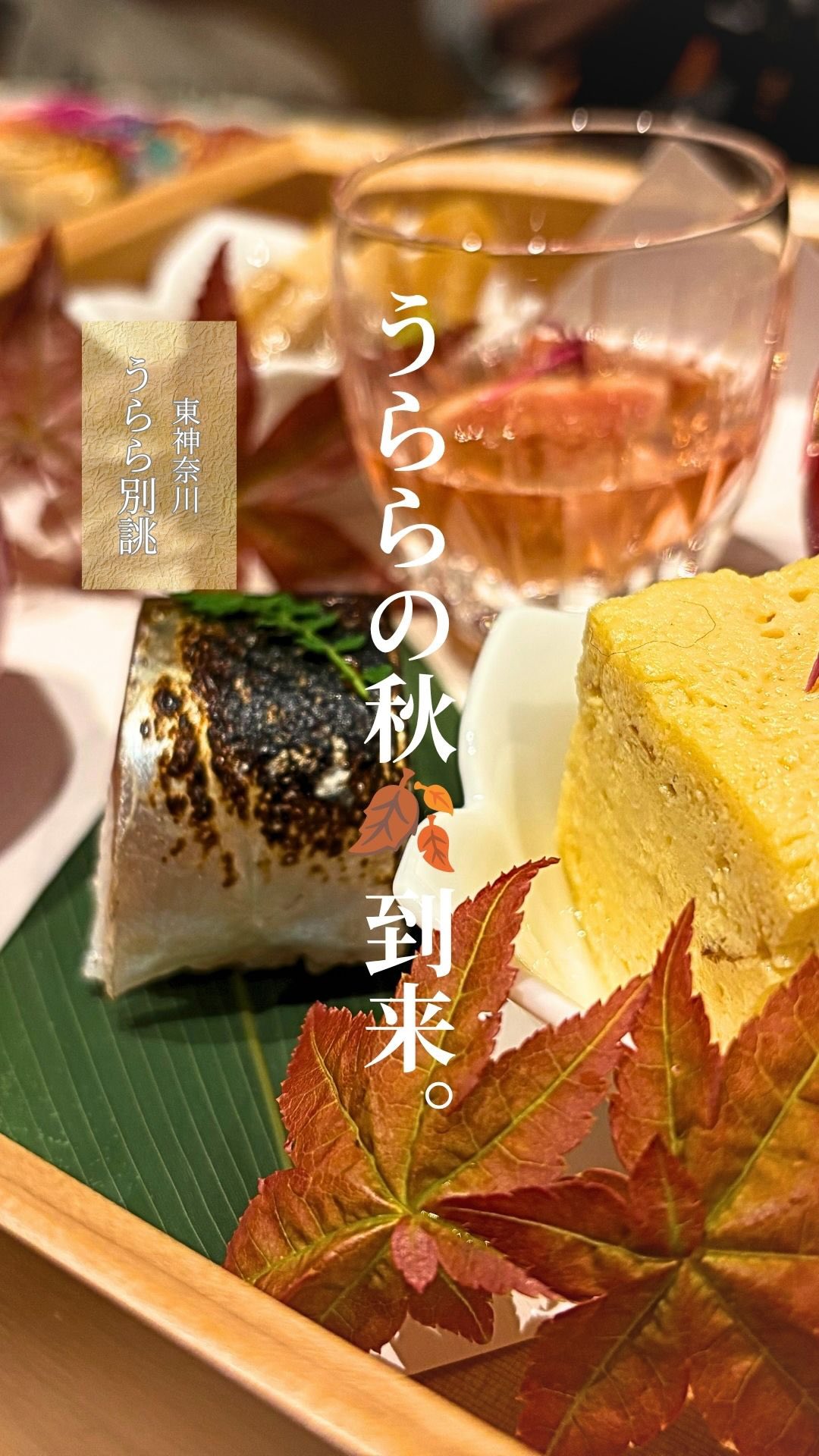 🍁 秋を、味わい尽くす。

彩り豊かな秋の味覚を
一皿一皿に散りばめた、
季節限定の「秋の別撰コース」。

旬の食材を使ったお料理は、
目にも美しく、味わい豊かに。

繊細な盛り付けと季節の彩り、
そして心もお腹も満たされる
充実の品々をお楽しみいただけます。

大切な方とのお食事に。
ご友人やご家族との秋のひとときに。

この季節ならではの美味しさを
ぜひ、うららでお楽しみください。

━━━━━━━━━━━━
🍁 秋の別撰コース
お一人様 6,600円
━━━━━━━━━━━━

ご予約はトップページから。

#うらら別誂 #横浜グルメ #東神奈川グルメ #東神奈川ディナー #日本料理